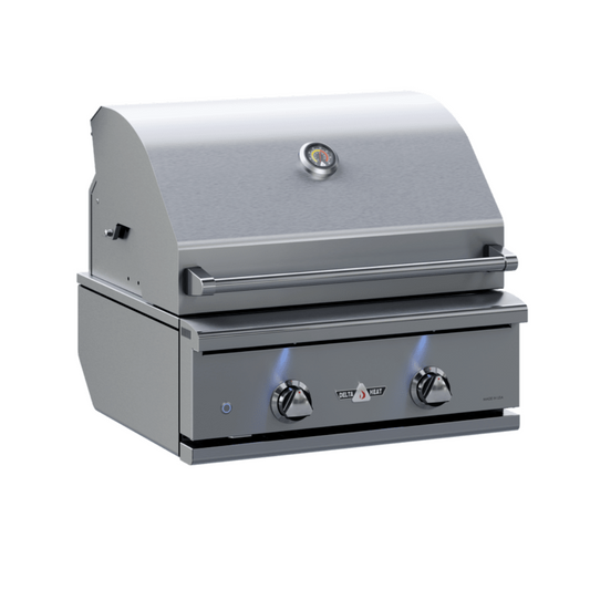 Delta Heat 26-Inch 2-Burner Built-In Gas Grill