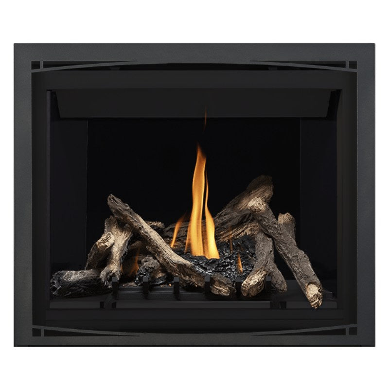 Napoleon Altitude 42" Direct Vent Gas Fireplace | A42