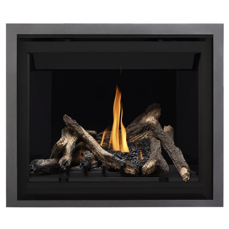 Napoleon Altitude 42" Direct Vent Gas Fireplace | A42