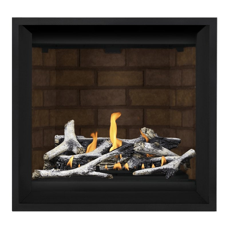 Napoleon Altitude X 36" Direct Vent Gas Fireplace | AX36-1