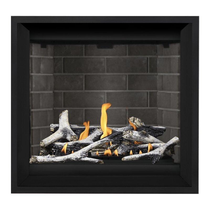Napoleon Altitude X 36" Direct Vent Gas Fireplace | AX36-1