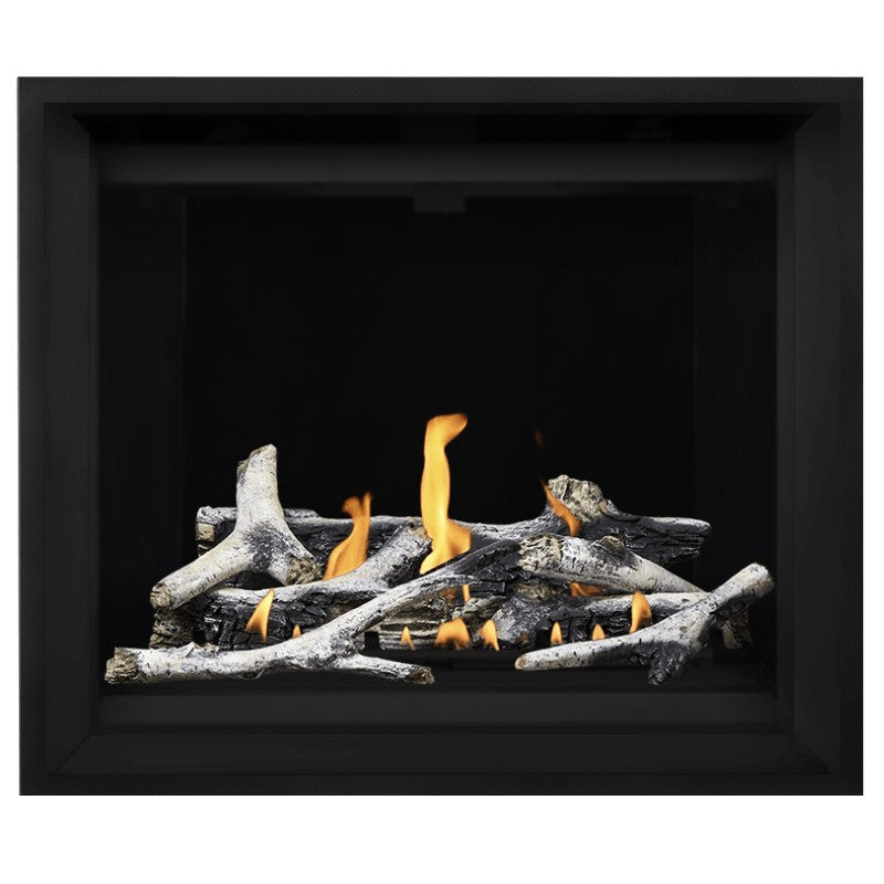 Napoleon Altitude X 42" Direct Vent Gas Fireplace | AX42-1