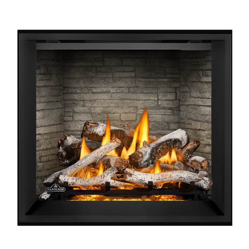 Napoleon Elevation X 36" Direct Vent Gas Fireplace | EX36
