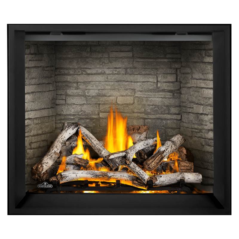 Napoleon Elevation X 42" Direct Vent Gas Fireplace | EX42