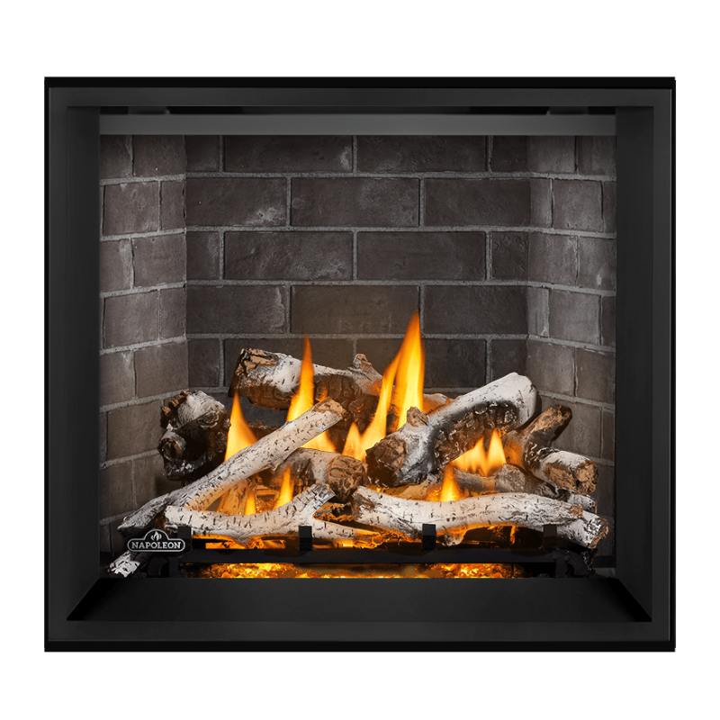 Napoleon Elevation X 36" Direct Vent Gas Fireplace | EX36