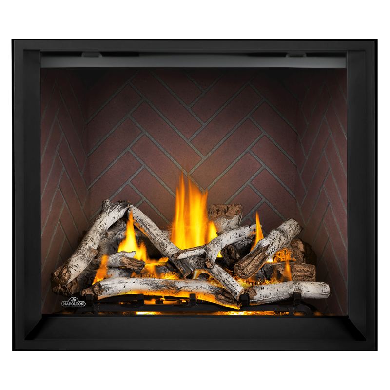 Napoleon Elevation X 42" Direct Vent Gas Fireplace | EX42
