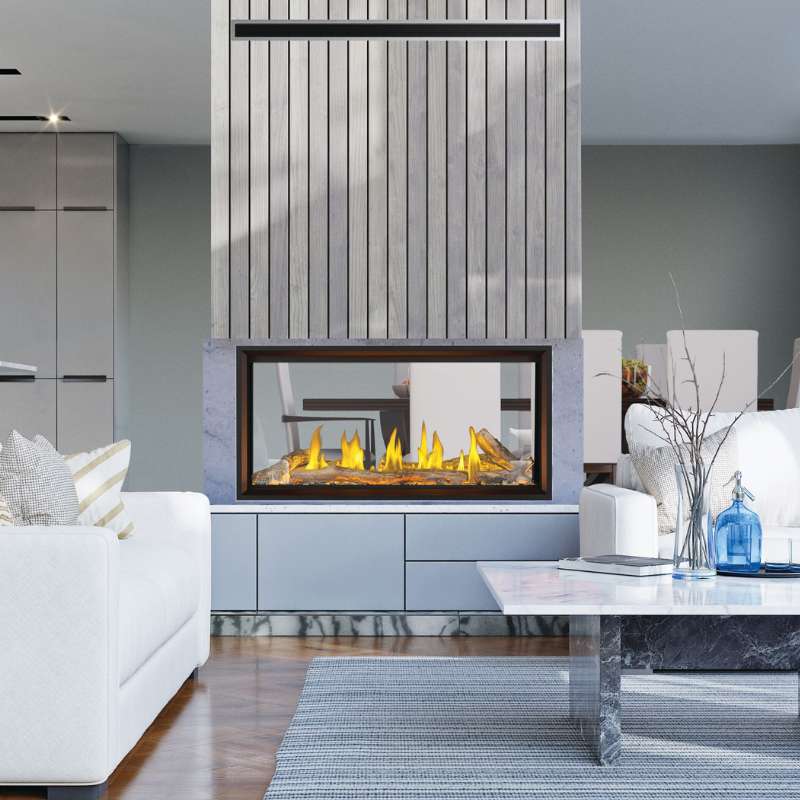 Napoleon Tall Vector 62" See Through Linear Direct Vent Gas Fireplace | TLV62N2
