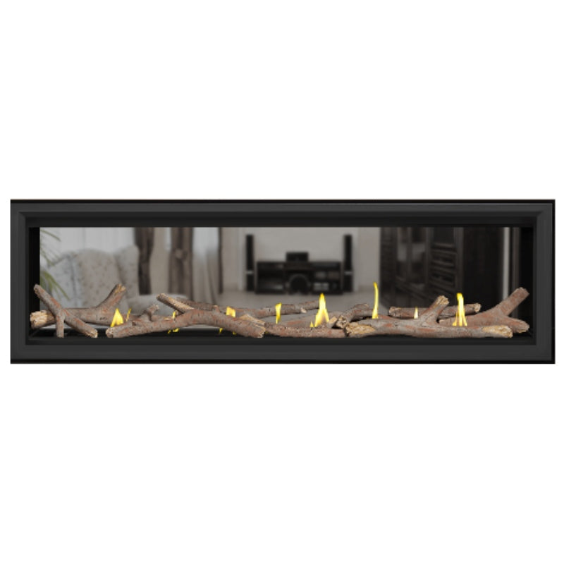 Napoleon Vector 62" See Thru Linear Direct Vent Gas Fireplace | LV62N2