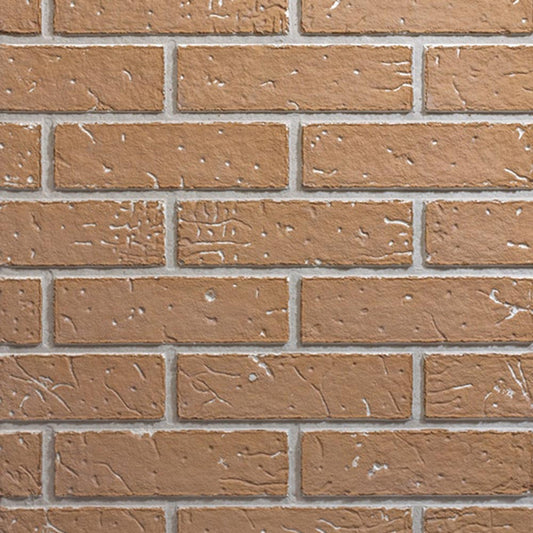 Empire Liner Accessory for VFP24 Vent-Free Fireplace - VFP24LINER