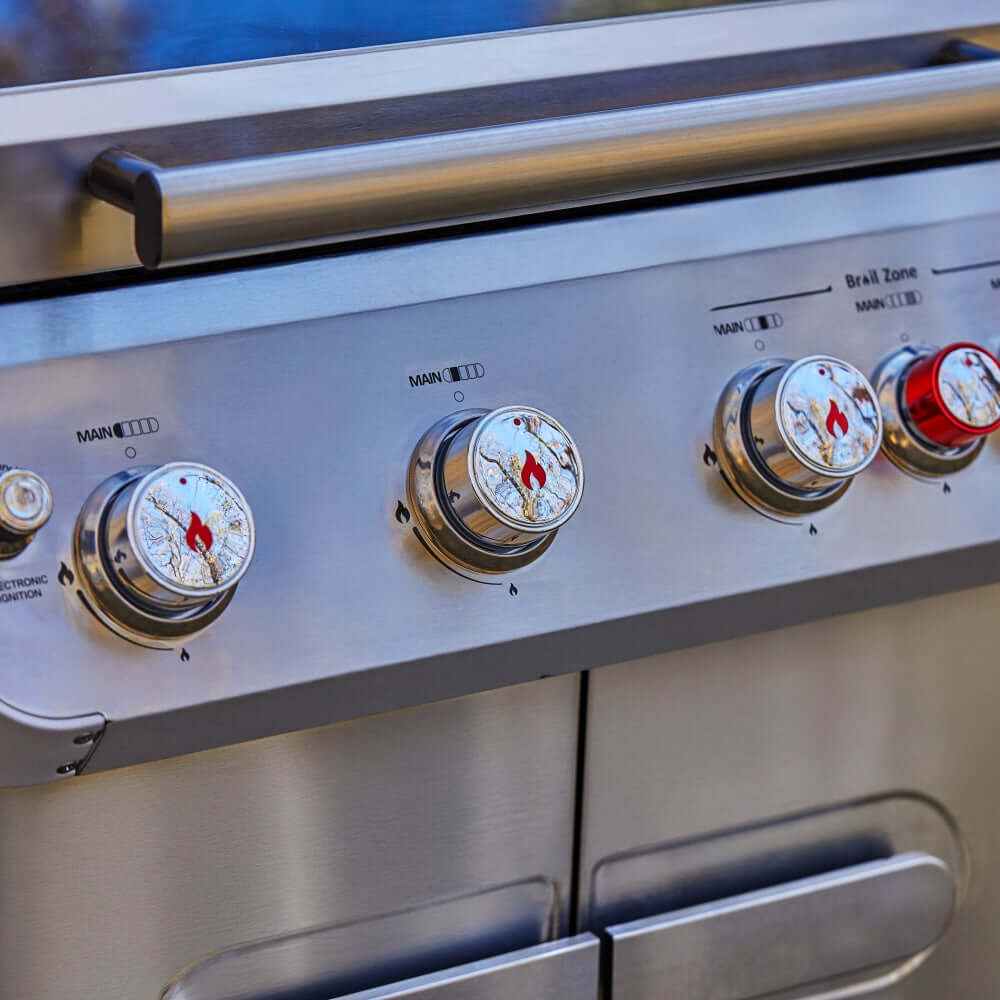 Monument Mesa 415BZ | Stainless Steel Propane Gas Grill