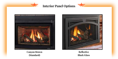 Majestic Trilliant 30" Direct Vent Gas Insert | TRILLIANT30IN