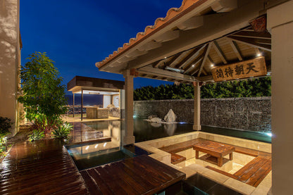 Infratech SL-Series Slimline Single Element 3000Watt Outdoor Electric Heater | 240V