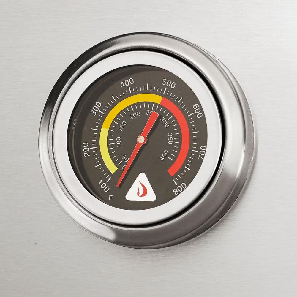 Delta Heat 26-Inch 2-Burner Built-In Gas Grill