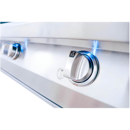 American Renaissance Grill 30 Inch 2 Burner Built-In Gas Grill