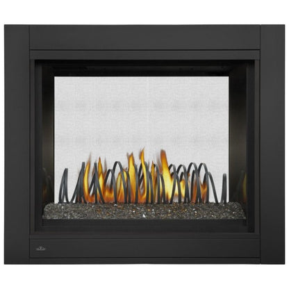 Napoleon Ascent Multi-Sided View/See Thru Direct Vent Gas Fireplace | BHD4