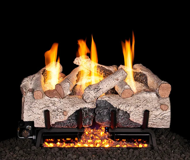 RH Peterson Real Fyre Charred Alpine Birch Outdoor Vent Free Gas Log Set