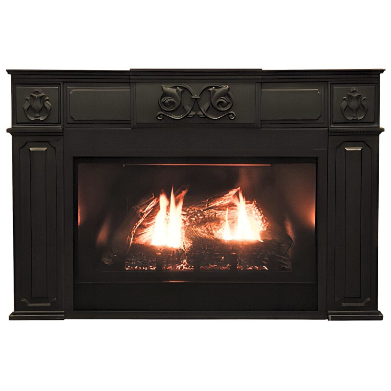 Empire Innsbrook Medium Clean Face Direct Vent Gas Insert | DVC26IN