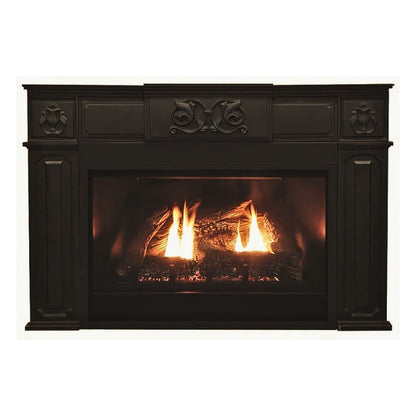 Empire Innsbrook Medium Clean Face Direct Vent Gas Insert | DVC26IN