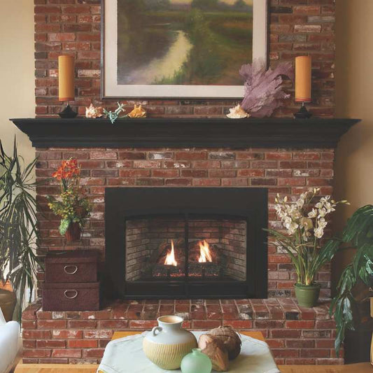 Empire Innsbrook Medium Clean Face Direct Vent Gas Insert | DVC26IN