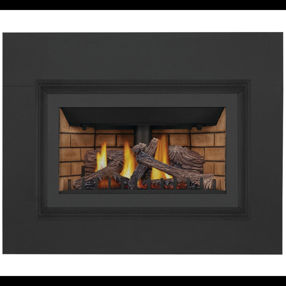 Napoleon 36" Inspiration ZC Direct Vent Gas Insert