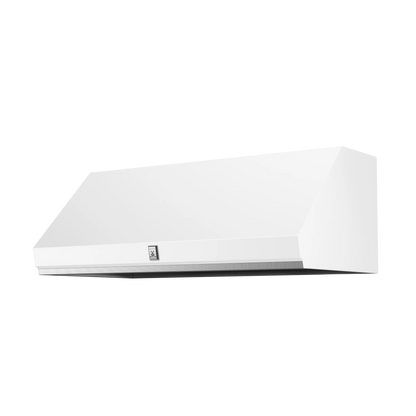 Hestan 48" Stainless Steel Outdoor Ventilation Hood - GVP48