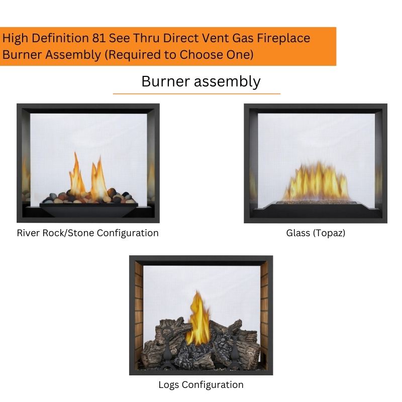 Napoleon High Definition 81 See Thru Direct Vent Gas Fireplace | HD81NT-1