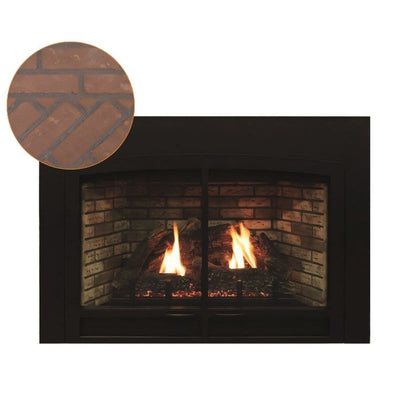 Empire Innsbrook Medium Clean Face Direct Vent Gas Insert | DVC26IN