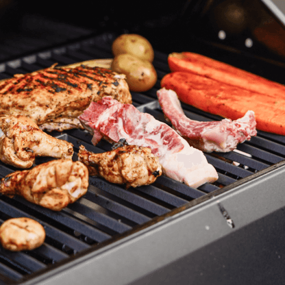 Monument Mesa 220 | Black Foldable Propane Gas Grill