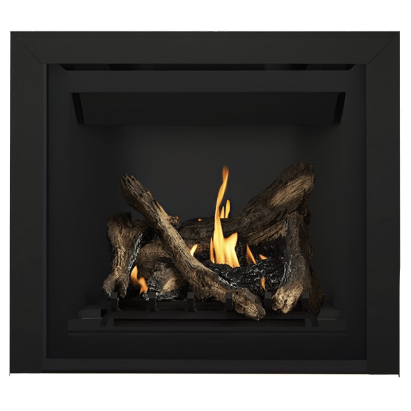 Napoleon Altitude 36" Direct Vent Gas Fireplace | A36