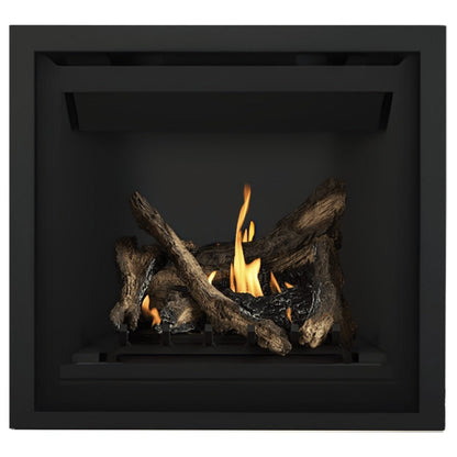 Napoleon Altitude 36" Direct Vent Gas Fireplace | A36