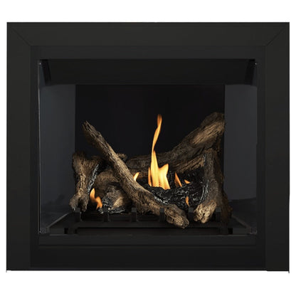 Napoleon Altitude 36" Direct Vent Gas Fireplace | A36