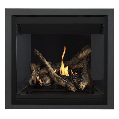 Napoleon Altitude 36" Direct Vent Gas Fireplace | A36