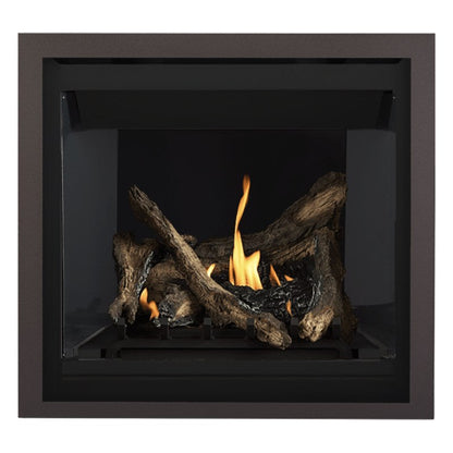 Napoleon Altitude 36" Direct Vent Gas Fireplace | A36