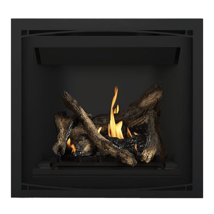 Napoleon Altitude 36" Direct Vent Gas Fireplace | A36