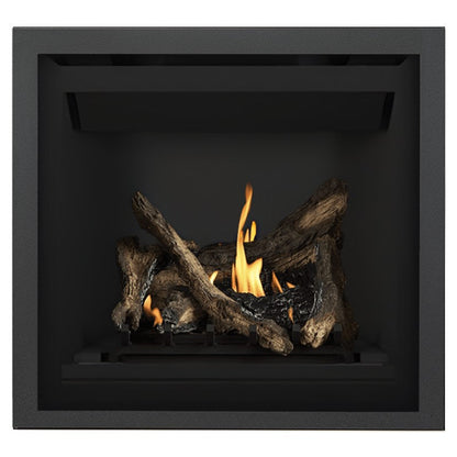 Napoleon Altitude 36" Direct Vent Gas Fireplace | A36