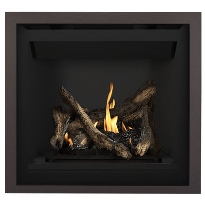 Napoleon Altitude 36" Direct Vent Gas Fireplace | A36