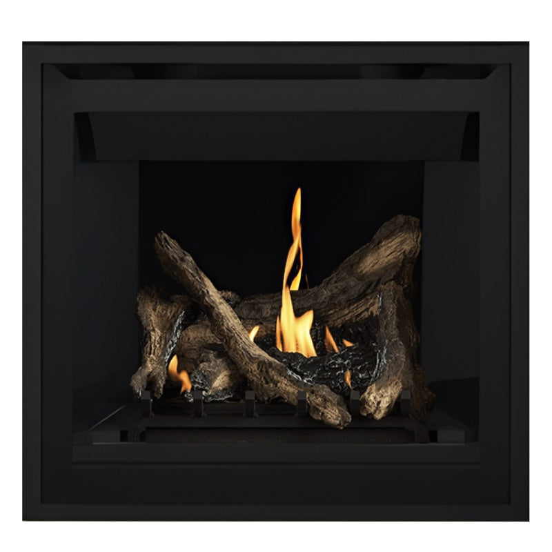 Napoleon Altitude 36" Direct Vent Gas Fireplace | A36
