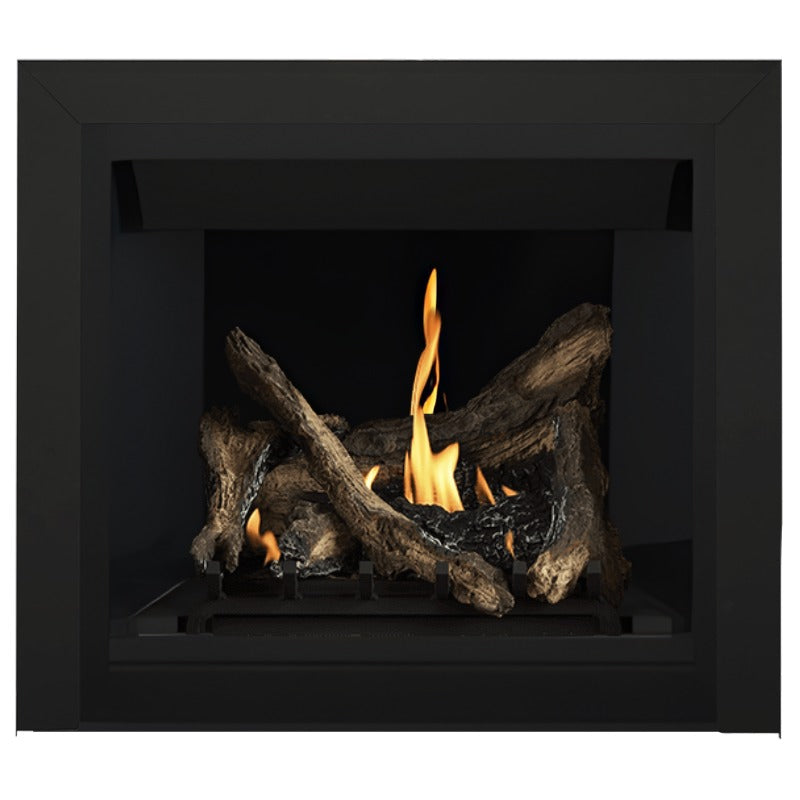 Napoleon Altitude 36" Direct Vent Gas Fireplace | A36