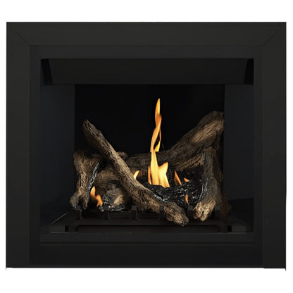 Napoleon Altitude 36" Direct Vent Gas Fireplace | A36