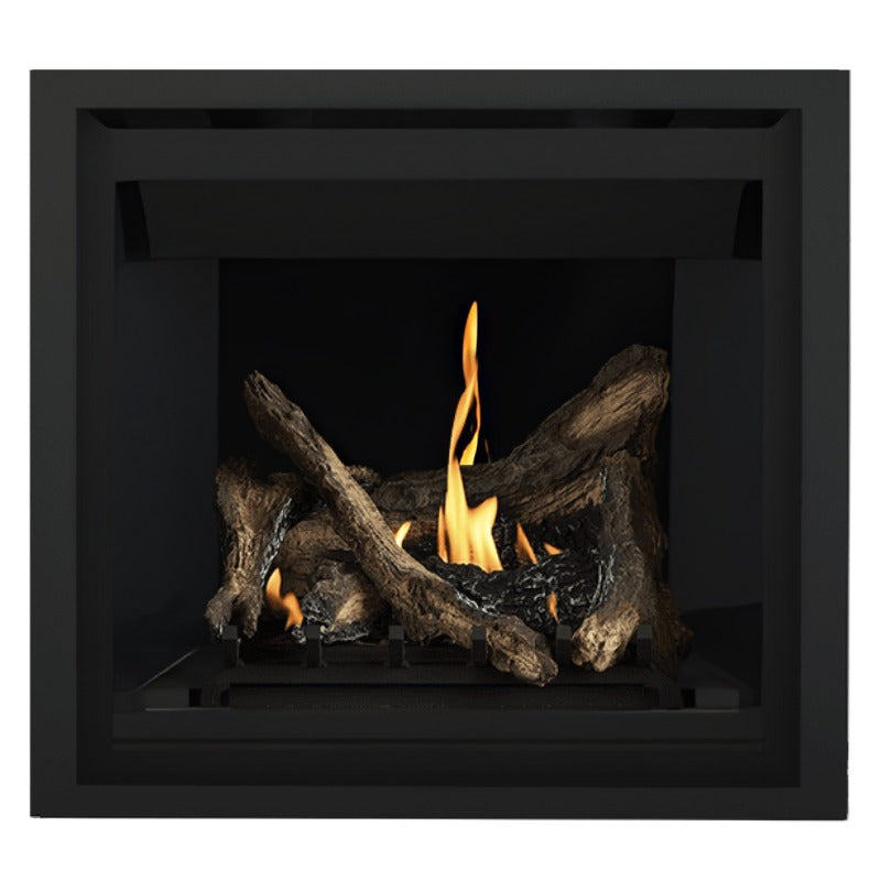 Napoleon Altitude 36" Direct Vent Gas Fireplace | A36