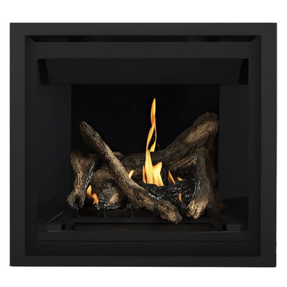 Napoleon Altitude 36" Direct Vent Gas Fireplace | A36
