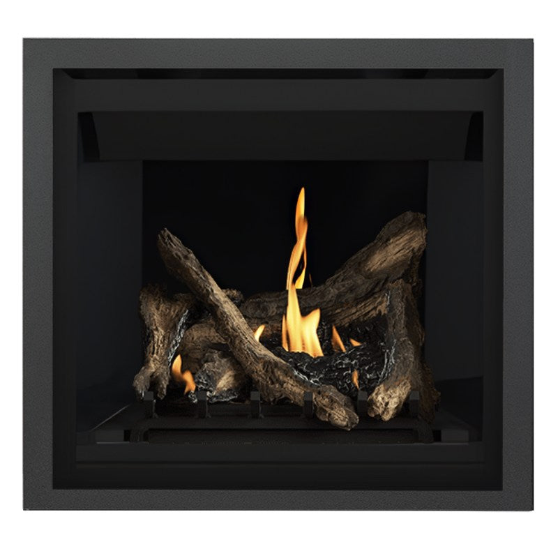 Napoleon Altitude 36" Direct Vent Gas Fireplace | A36