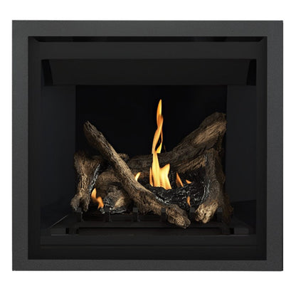 Napoleon Altitude 36" Direct Vent Gas Fireplace | A36