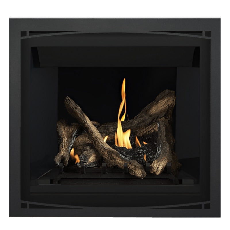 Napoleon Altitude 36" Direct Vent Gas Fireplace | A36