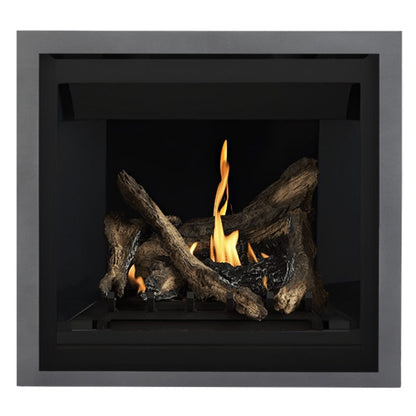 Napoleon Altitude 36" Direct Vent Gas Fireplace | A36