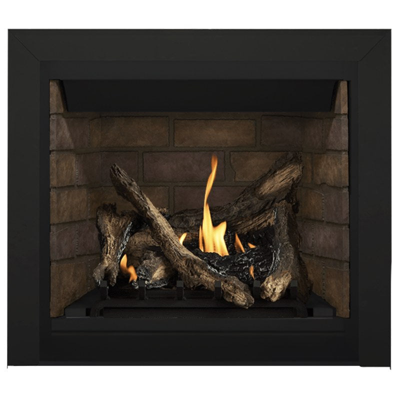 Napoleon Altitude 36" Direct Vent Gas Fireplace | A36