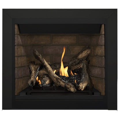 Napoleon Altitude 36" Direct Vent Gas Fireplace | A36