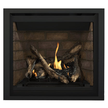 Napoleon Altitude 36" Direct Vent Gas Fireplace | A36