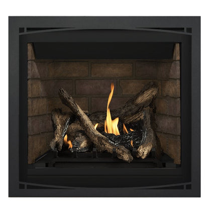 Napoleon Altitude 36" Direct Vent Gas Fireplace | A36