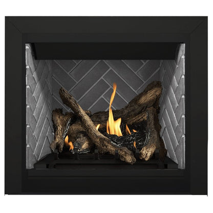 Napoleon Altitude 36" Direct Vent Gas Fireplace | A36